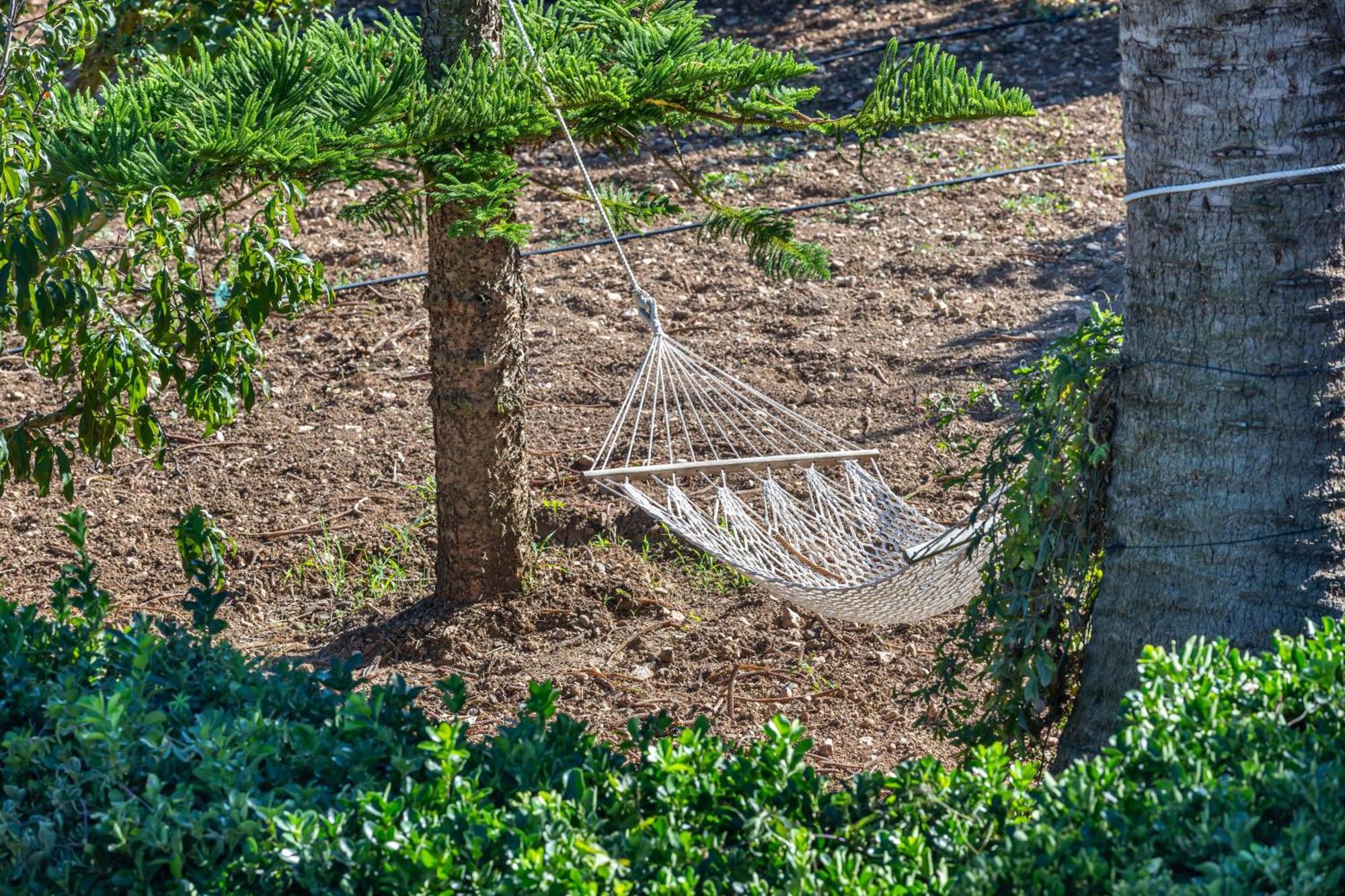 Finca Son Ramon Llull Villa Manacor  Eksteriør bilde